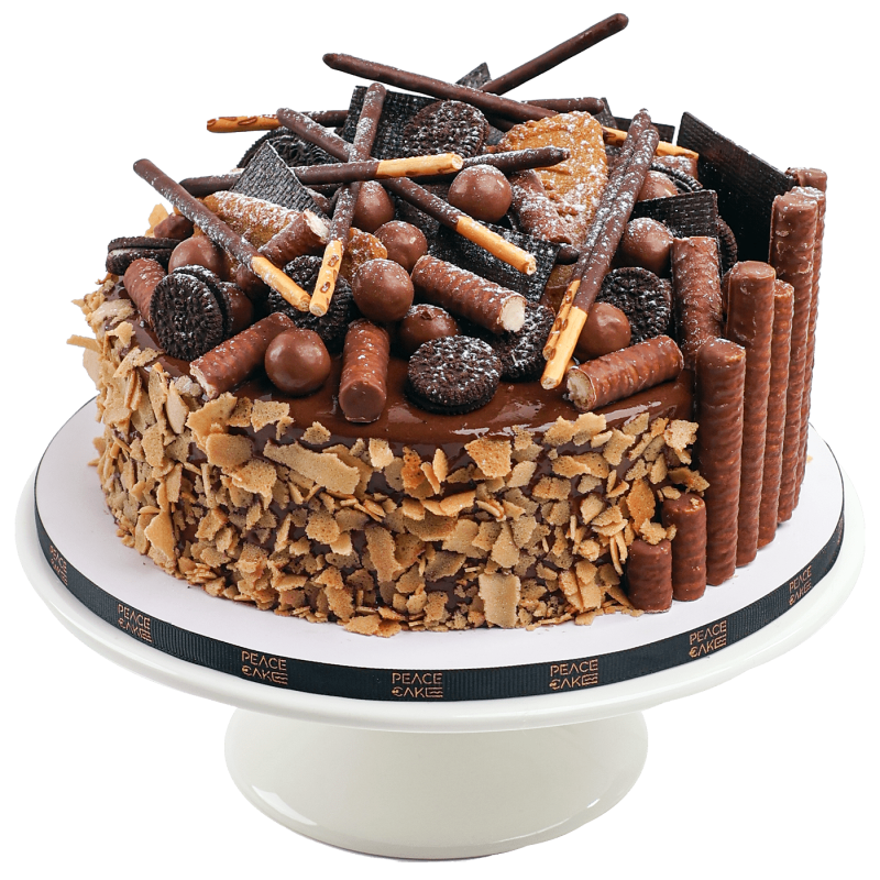 Delicious intense choco moist